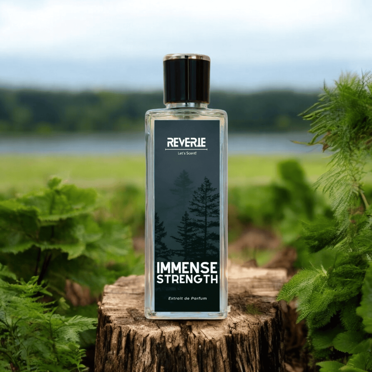 IMMENSE STRENGTH - Inspired by Azzaro - Reverie - Let's Scent