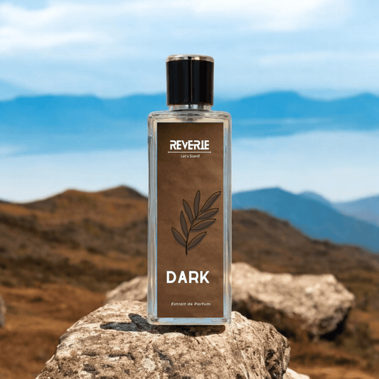 DARK - Inspired by Black Opium - Reverie - Let's Scent